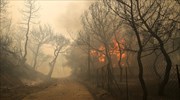 Δύσκολη η κατάσταση στα Γεράνεια Όρη, χωρίς ενεργό μέτωπο στην Καλλιτεχνούπολη