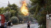 Τρίτη ημέρα καταστροφής σε Κινέτα, Καλλιτεχνούπολη - Σε ύφεση τα υπόλοιπα πύρινα μέτωπα