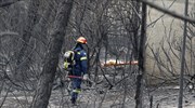 Οι πυρκαγιές στο επίκεντρο της συνάντησης Τσίπρα-Στυλιανίδη