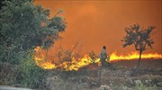 Δασική πυρκαγιά στη Ζάκυνθο