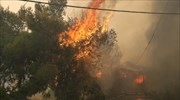 Σε ύφεση τα πύρινα μέτωπα σε Παλαιά Φώκαια-Λαύριο