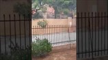 Βίντεο - ντοκουμέντο από την πύρινη λαίλαπα