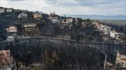 Επίσκεψη κλιμακίου της ΓΣΕΒΕΕ στις πυρόπληκτες περιοχές