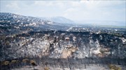 Την παραίτησή της ανακοίνωσε η αντιδήμαρχος Μαραθώνα Δ. Λαμπαρού