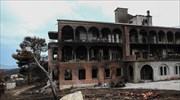 Research institute: Wildfire damage in eastern Attica prefecture at 1,260 hectares
