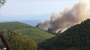 Προειδοποίηση για πολύ αυξημένο κίνδυνο πυρκαγιάς την Πέμπτη