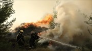 Συνελήφθη για πέντε φωτιές από πρόθεση στον Μαραθώνα
