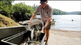 Απειλή για τα τοπικά οικοσυστήματα ο καύσωνας στη Δυτική Ευρώπη