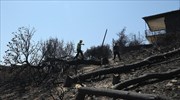 Γρ. Προϋπολογισμού: Μάνδρα και Μάτι υποδηλώνουν αδύναμο κράτος