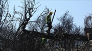 Μάτι: Συνεχίζεται η αναζήτηση των ευθυνών, την πυροσβεστική «δείχνει» η περιφέρεια