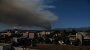 Major wildfire reported in central Evia island; evacuation order given this time