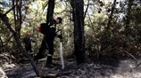 Πυρκαγιά στην Εύβοια (upd)