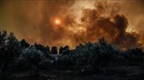 Εύβοια: Μάχη με τις φλόγες