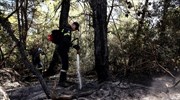 Εύβοια: Καλύτερη η εικόνα - Συνεχίζεται η επιχείρηση κατάσβεσης