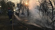 Εύβοια: Δορυφορική καταγραφή των ζημιών της πυρκαγιάς από την υπηρεσία «Κοπέρνικος»
