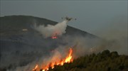 Πυρκαγιά στην Κούπα Ιεράπετρας