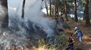 Μυτιλήνη: Κινδύνεψε από πυρκαγιά το περιαστικό άλσος Τσαμάκια