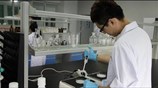 Ελλάδα: Το brain drain στα χρόνια της κρίσης