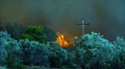 Υπό έλεγχο η πυρκαγιά στη Σαλαμίνα