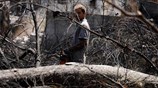 Αυτοψία στο Μάτι, έναν μήνα μετά τη φονική πυρκαγιά