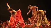 Israeli choreographer Portal