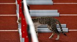 Επισκέπτης στους Ασιατικούς Αγώνες