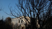 Επιδότηση ενοικίου/συγκατοίκησης για τους πυρόπληκτους σε Αττική-Πελοπόννησο