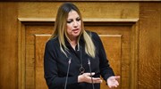 Συλλυπητήρια Φ. Γεννηματά για τον θάνατο του πιλότου