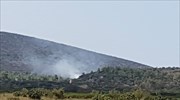 Χίος: Στις φλόγες δασική έκταση στις Αμάδες
