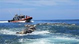 Μεξικό: 300 θαλάσσιες χελώνες βρέθηκαν να επιπλέουν νεκρές
