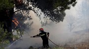 Βραυρώνα Αττικής: Υπό μερικό έλεγχο η πυρκαγιά