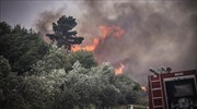 Ηλεία: Ελέγχουν τη φωτιά στην Κλινδιά οι πυροσβέστες