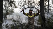 Καστοριά: Υπό μερικό έλεγχο η πυρκαγιά στη Βέργα