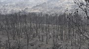 Βίντεο: Κινέττα-Γεράνεια Όρη από ψηλά έναν μήνα μετά τη μεγάλη πυρκαγιά
