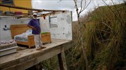 Πουέρτο Ρίκο: Ο Τραμπ αρνείται τον αριθμό των θυμάτων από τον τυφώνα Μαρία