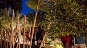 Ο κήπος της Βρετανικής Σχολής Αθηνών ανοίγει για πρώτη φορά στο ευρύ κοινό