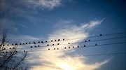 Αίθριος ο καιρός με τοπικές βροχές