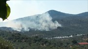 Πυρκαγιά σε αγρόκτημα κοντά στη Μόρια