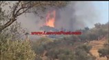 Πυρκαγιά σε αγρόκτημα κοντά στη Μόρια