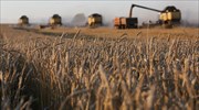 Οι Αμερικανοί αγρότες φοβούνται την άνοδο της Ρωσίας