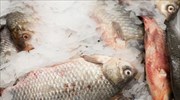 Ελληνικά λαβράκια και τσιπούρες τρώνε οι Γάλλοι