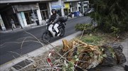 Αττική: Πάνω από 350 κλήσεις στην Πυροσβεστική για κοπές δέντρων λόγων ανέμων
