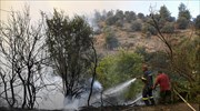Υπό μερικό έλεγχο η πυρκαγιά στο Λιμνοχώρι Αχαΐας