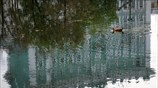 Φθινοπωρινό κολύμπι στη Ρωσία