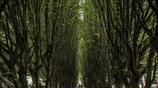 Καθημερινότητα στην Δανία