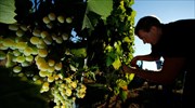 EBRD: Νέα στρατηγική για τη γεωργία