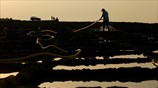 Αγροτικές εργασίες στη Μάλτα