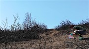 ΕΑΑ για Μάτι: Καµία υπέρβαση ορίων σε αέρα - έδαφος