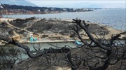 «Δημόκριτος» για Μάτι: Δεν κινδυνεύει η υγεία των κατοίκων