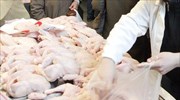 Πειραιάς: Δέσμευσαν έναν τόνο βουλγαρικά παρασκευάσματα κοτόπουλου